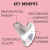 image:imageJAPONESQUE SKINTherapy Contouring Facial Tool V Roller for Lymphatic Drainage Facial Massage Relieves Tension and Improves Absorption of Skin Care Products