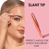 image:imageJAPONESQUE Tweezers Set 2 Pack Precision Slant Tip amp PointedSlant Tip